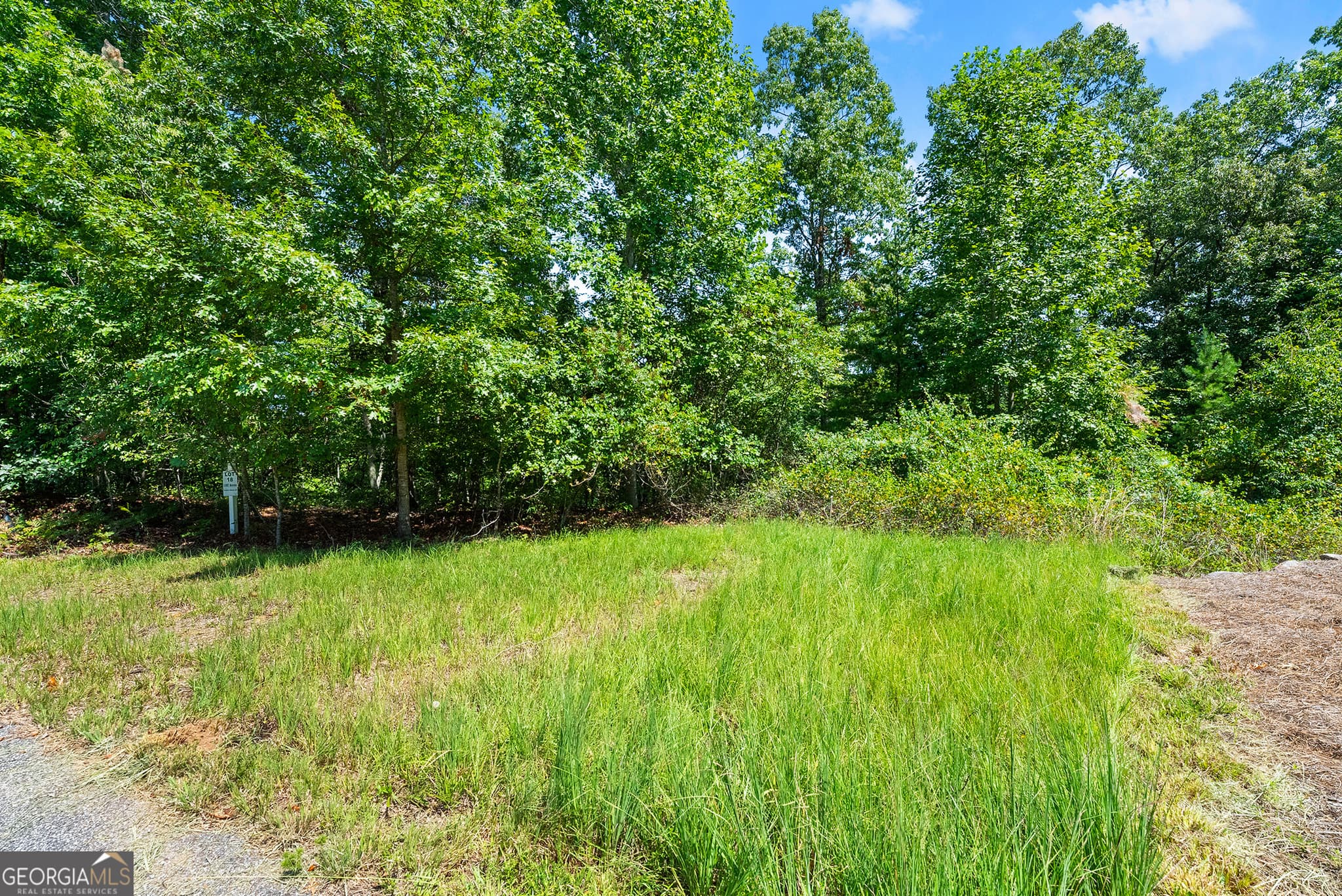 residential lot for sale at 0 Flat Rock Point, Dahlonega, GA 30533 — photo 3