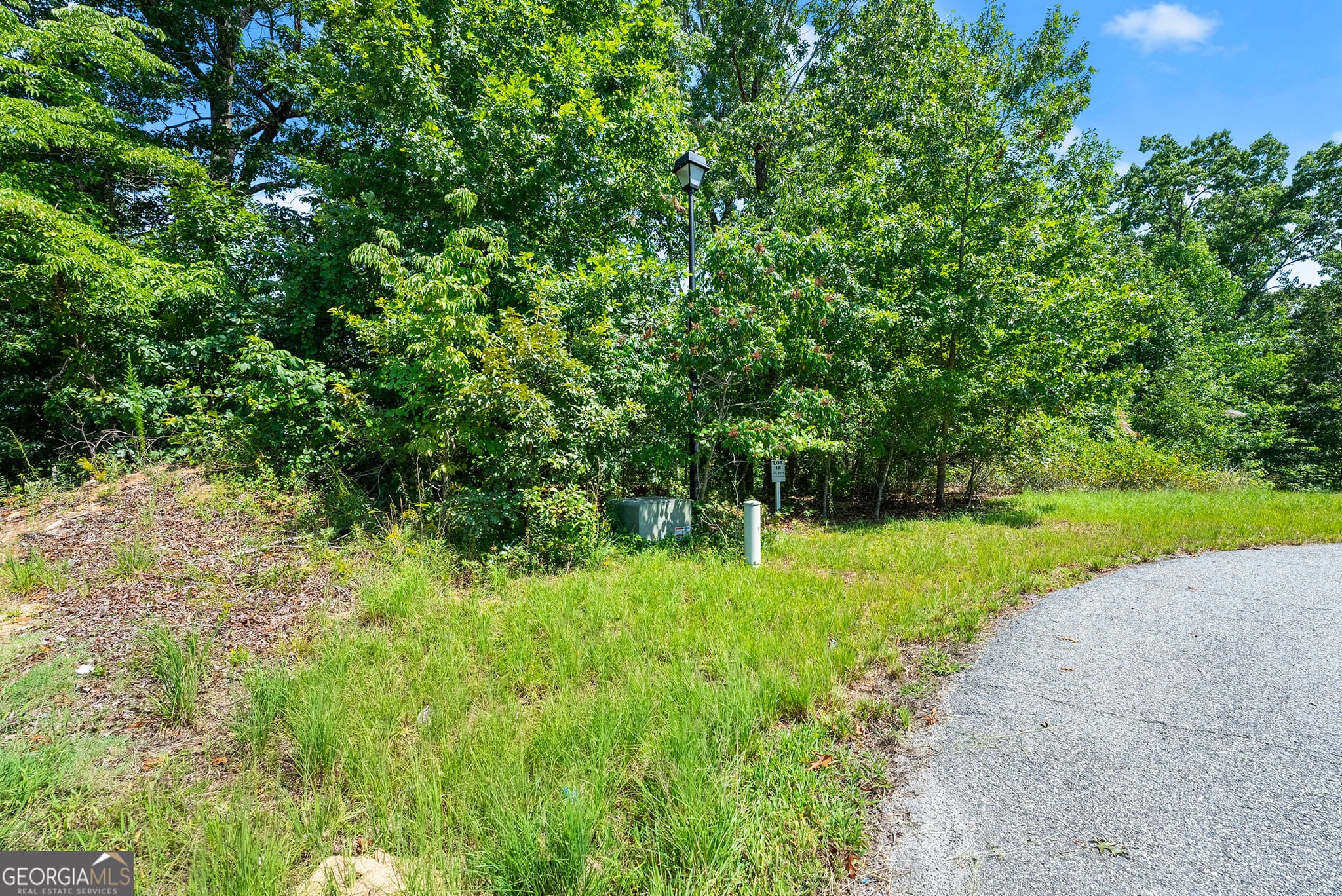 residential lot for sale at 0 Flat Rock Point, Dahlonega, GA 30533 — photo 5