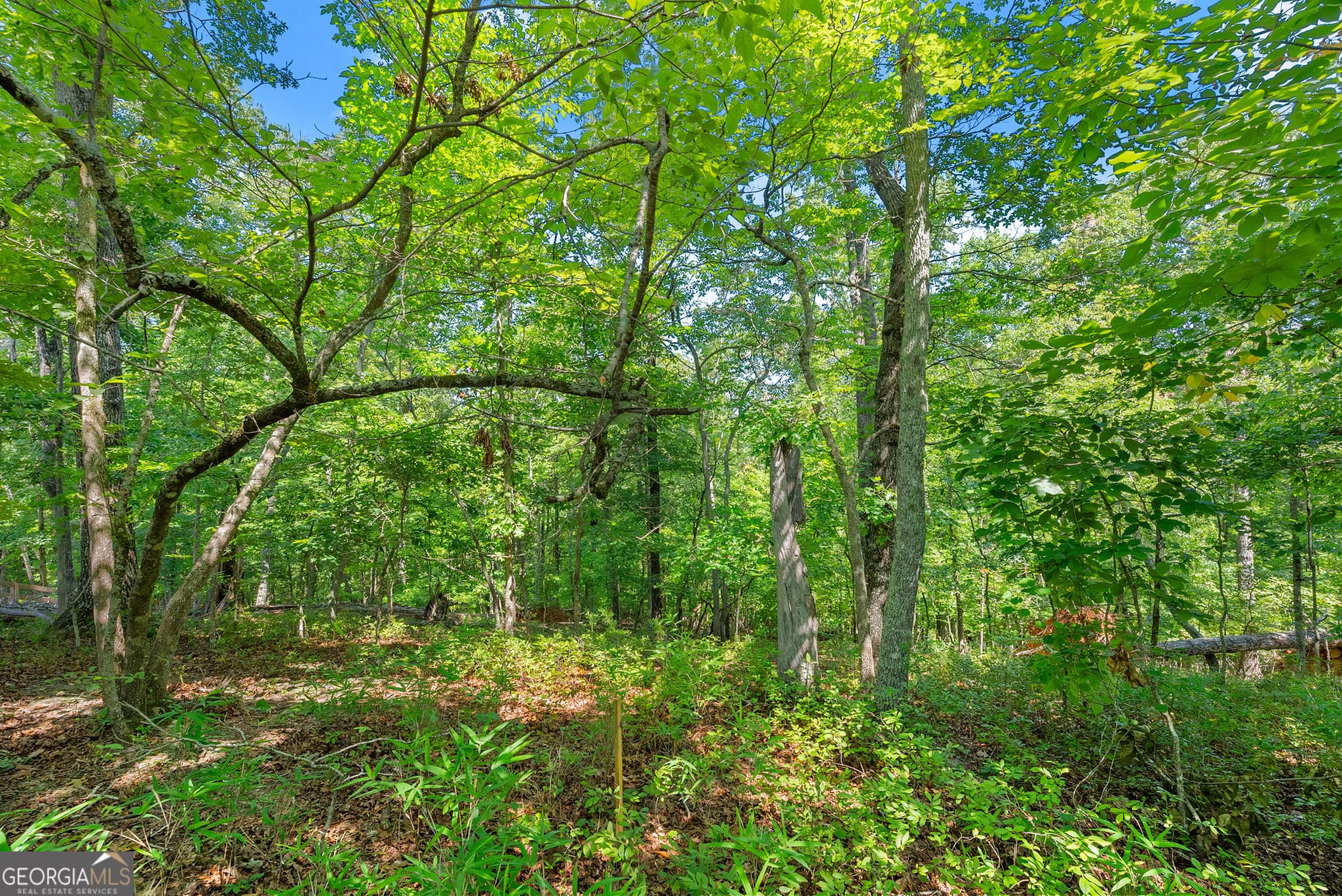 residential lot for sale at 0 Flat Rock Point, Dahlonega, GA 30533 — photo 10