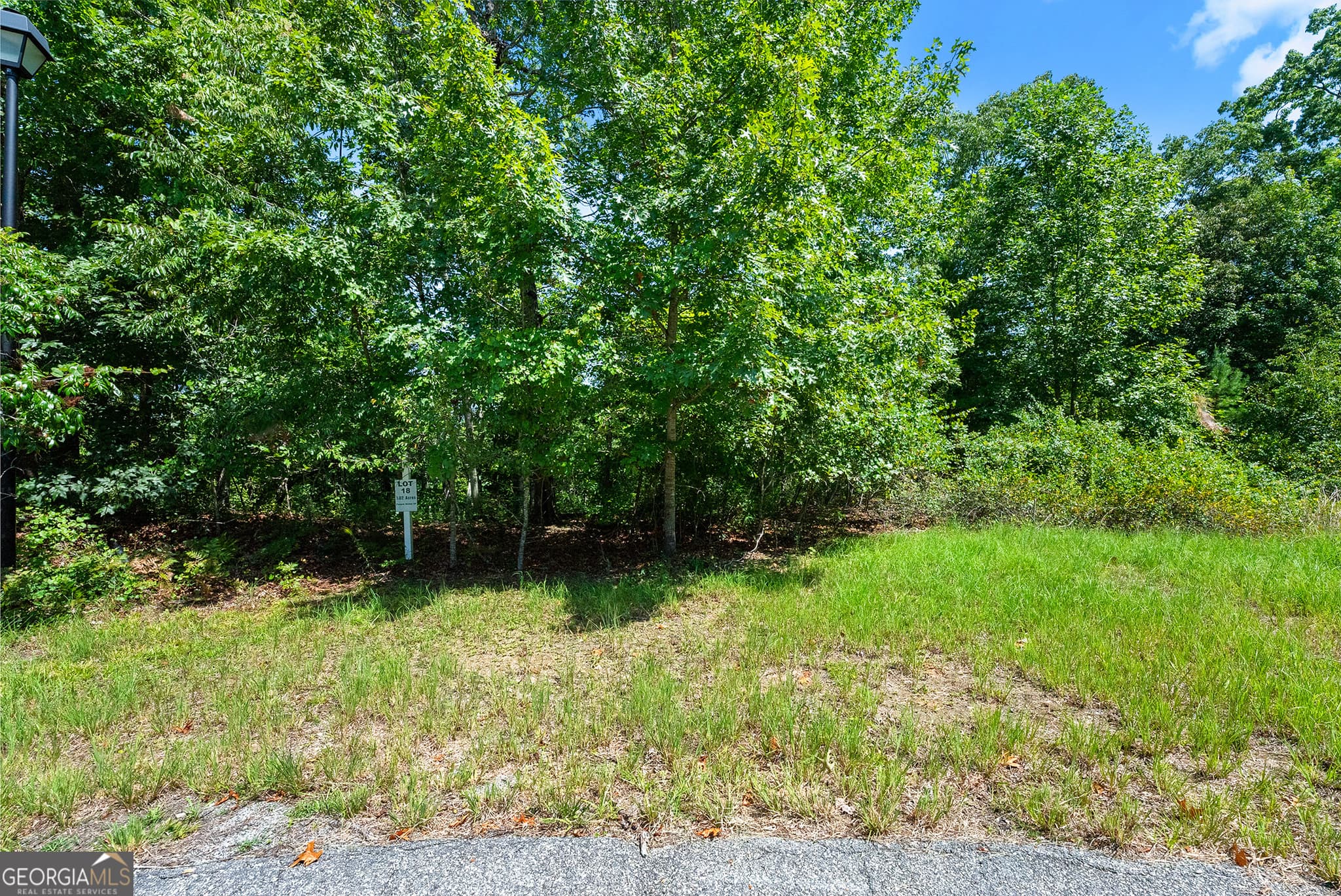 residential lot for sale at 0 Flat Rock Point, Dahlonega, GA 30533 — photo 4