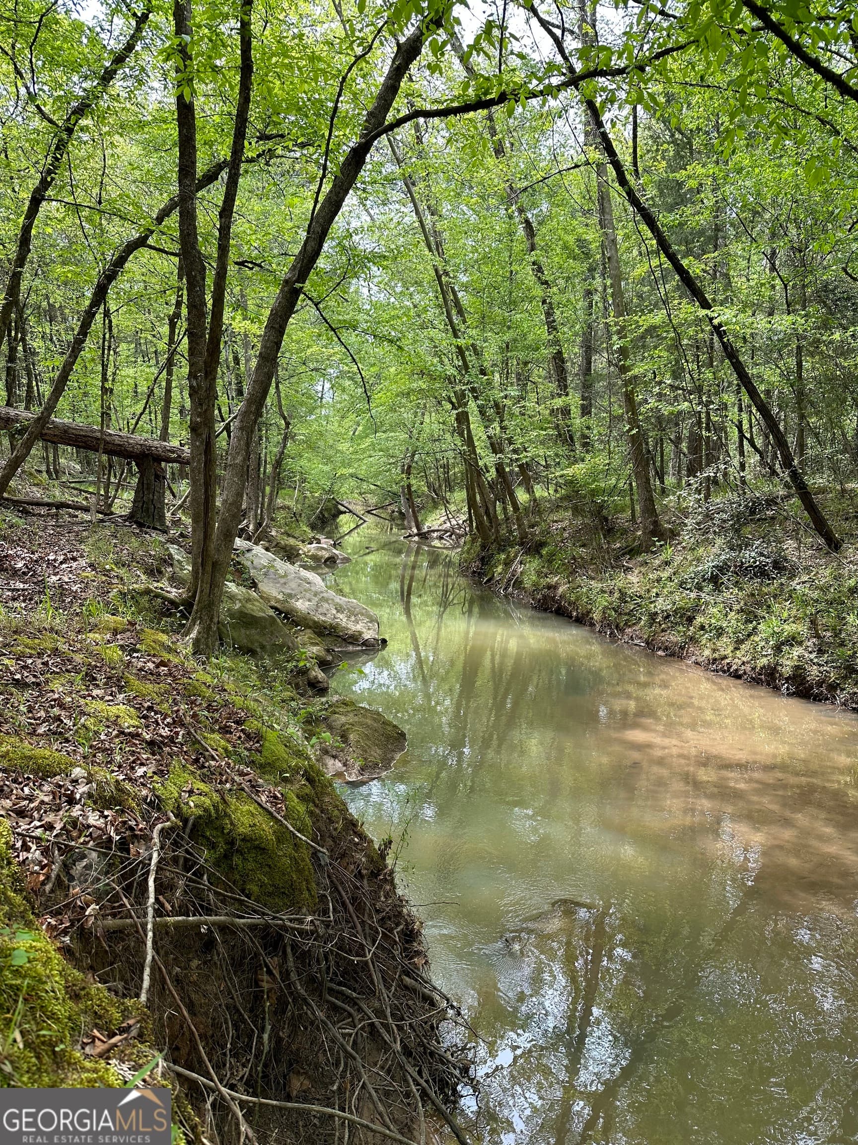 commercial for sale at 2762 Smith Road, Fortson, GA 31808 — photo 2