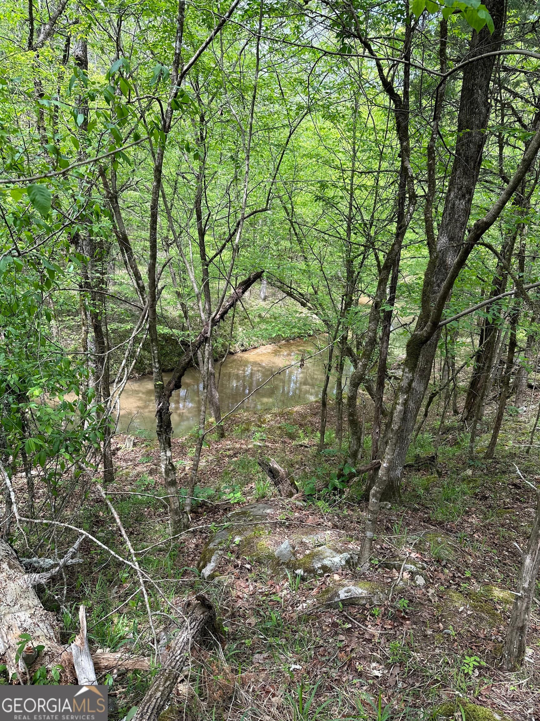 commercial for sale at 2762 Smith Road, Fortson, GA 31808 — photo 3