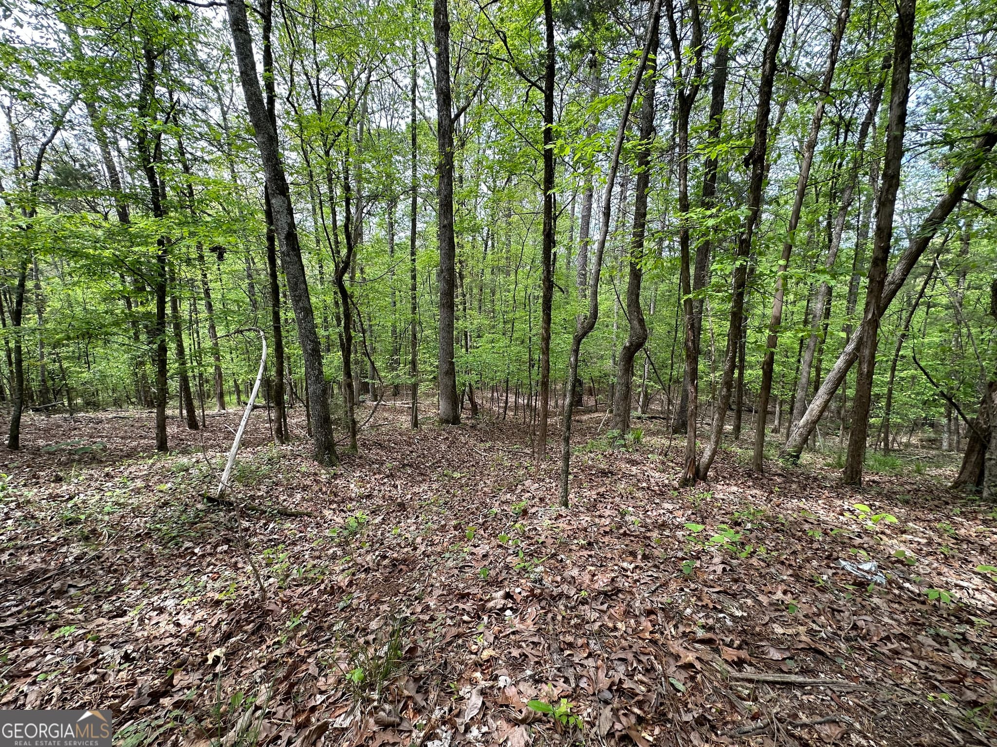 commercial for sale at 2762 Smith Road, Fortson, GA 31808 — photo 5