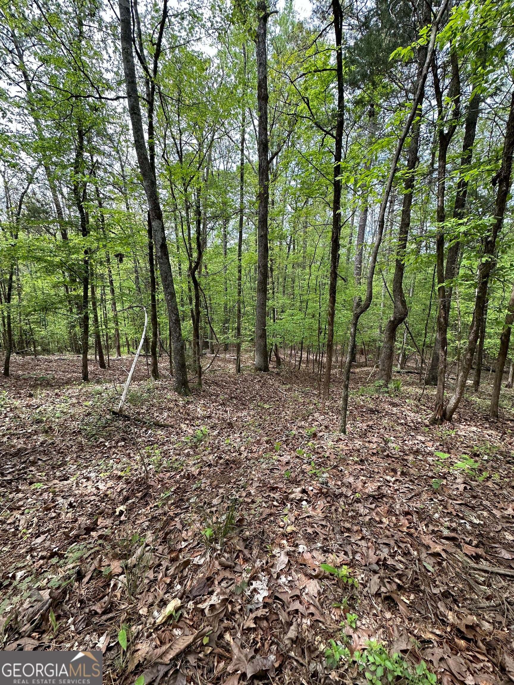 commercial for sale at 2762 Smith Road, Fortson, GA 31808 — photo 4