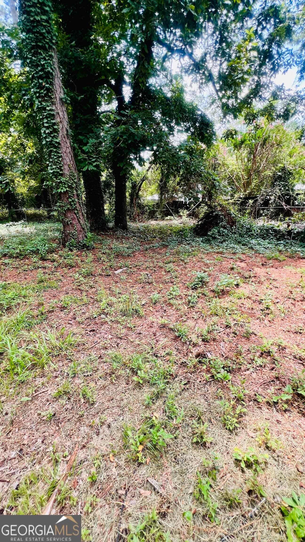 3 bedroom, 1 bathroom, 1,000 sq ft single family residence for sale at 615 Sommer Street, Aiken, SC 29801 — photo 6