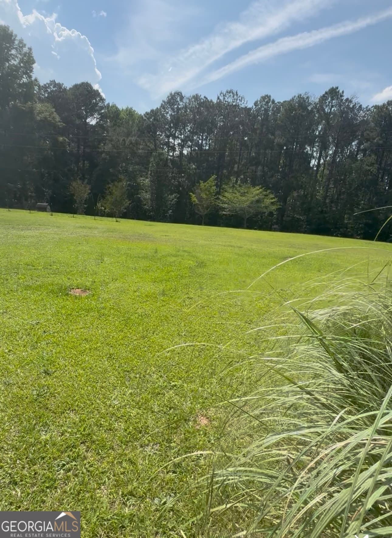 3 bedroom, 2 bathroom, 1,716 sq ft single family residence for sale at 733 Old Social Circle Road, Social Circle, GA 30025 — photo 3