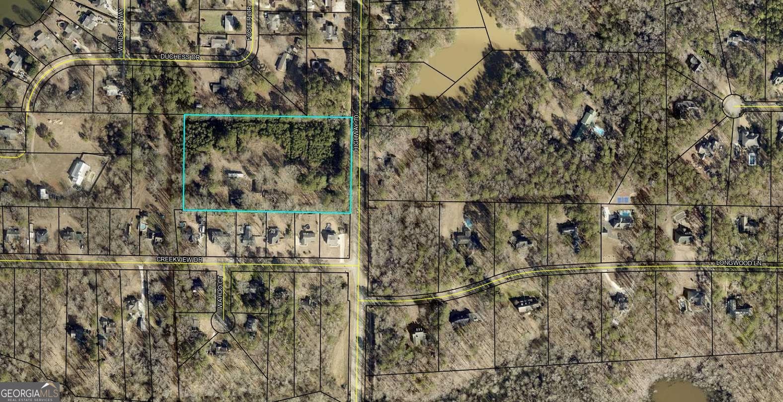 residential lot for sale at 1054 Roscoe Road, Newnan, GA 30263 — photo 2