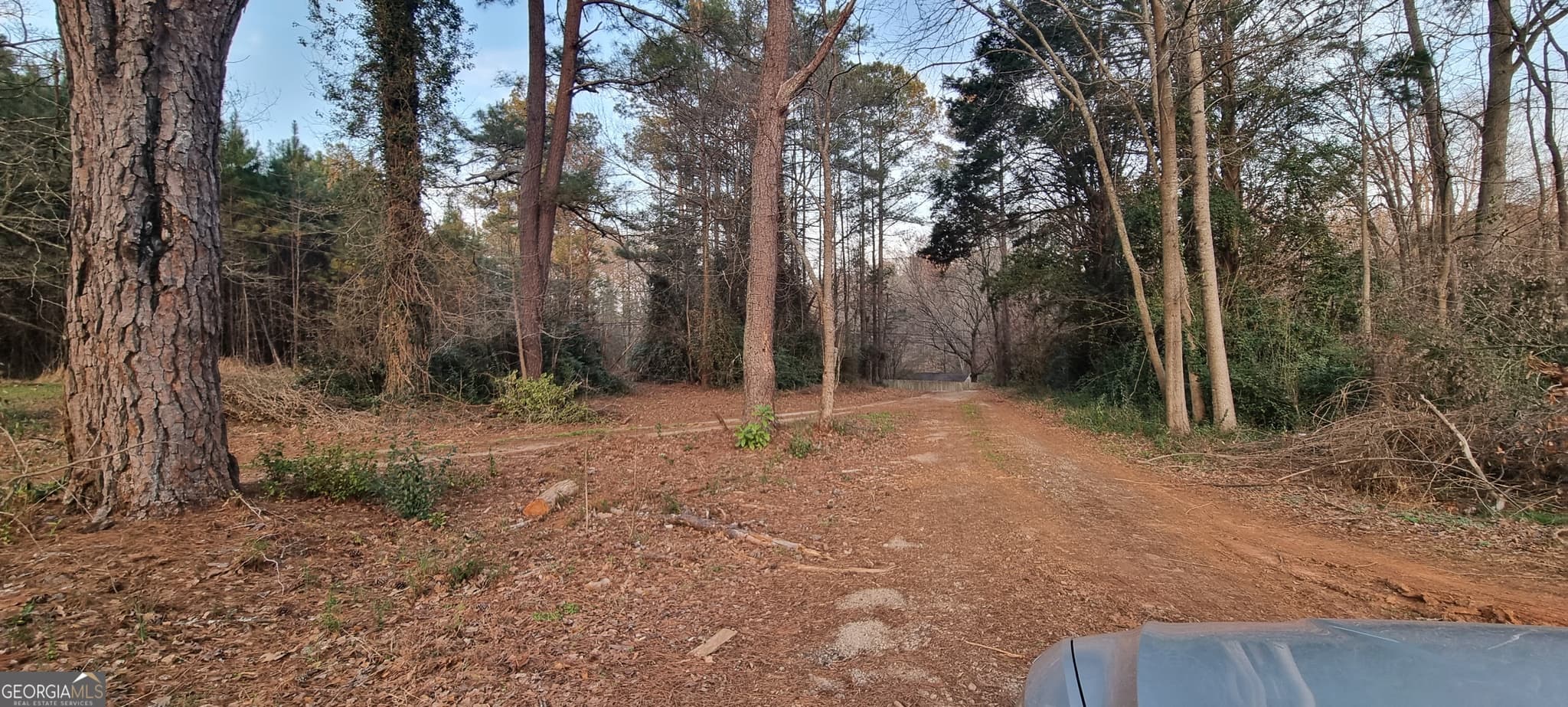 residential lot for sale at 1054 Roscoe Road, Newnan, GA 30263 — photo 6