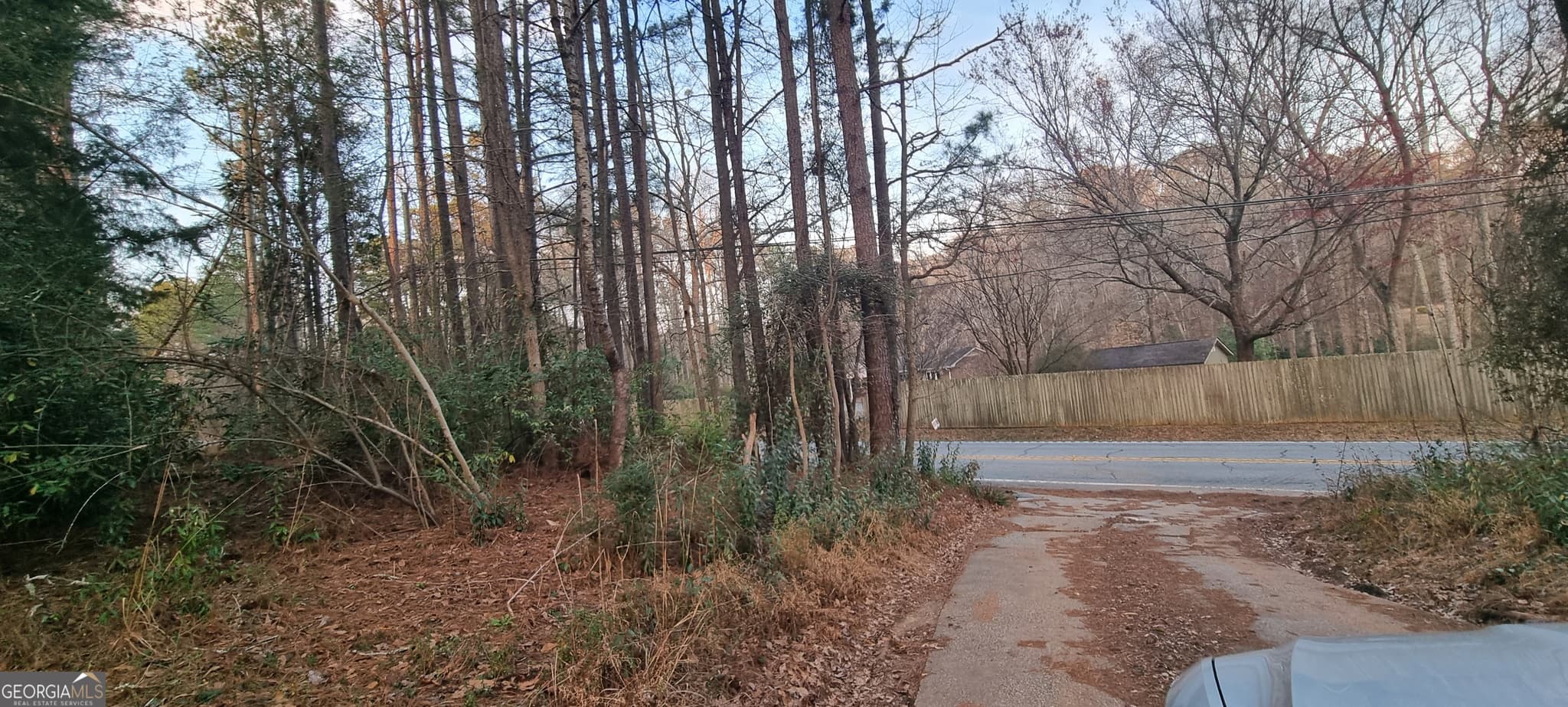 residential lot for sale at 1054 Roscoe Road, Newnan, GA 30263 — photo 5