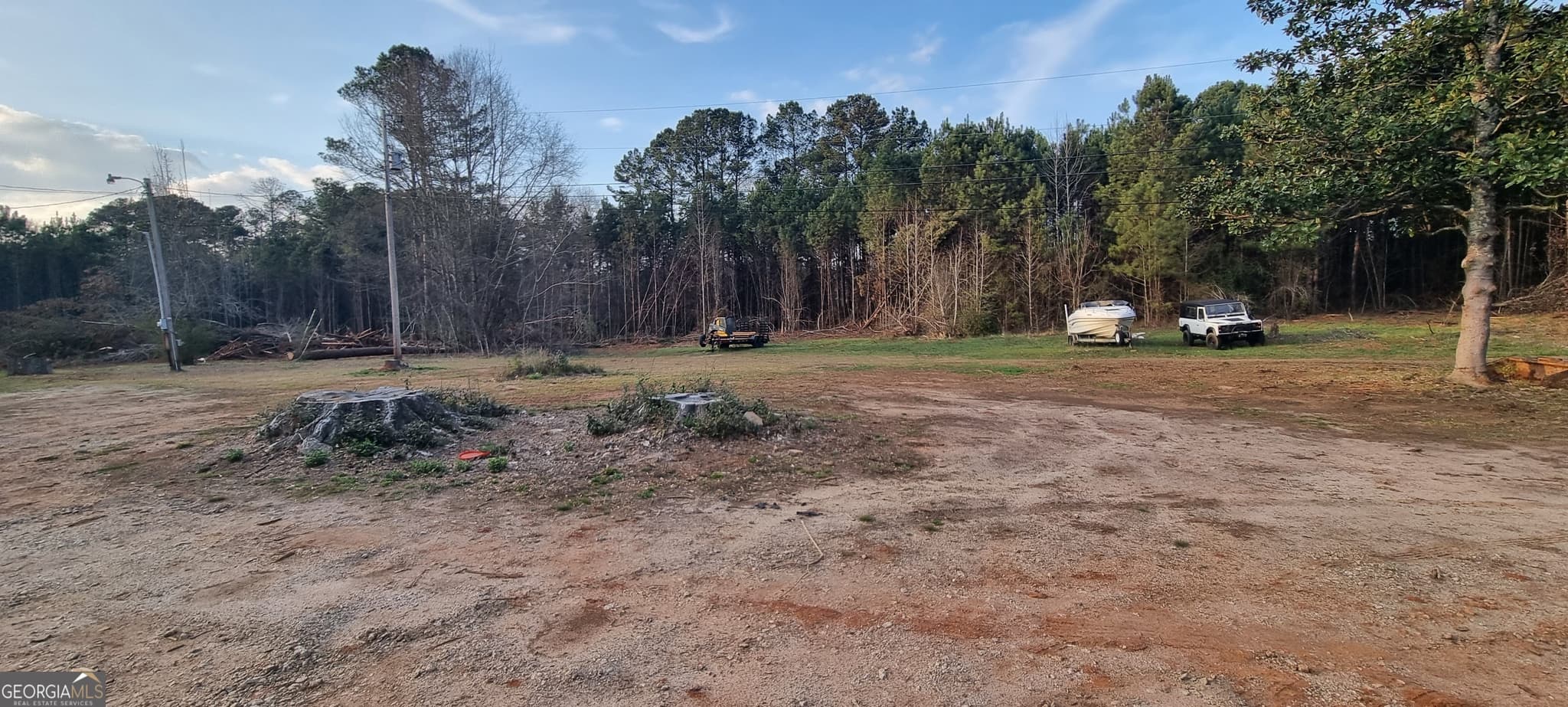 residential lot for sale at 1054 Roscoe Road, Newnan, GA 30263 — photo 9