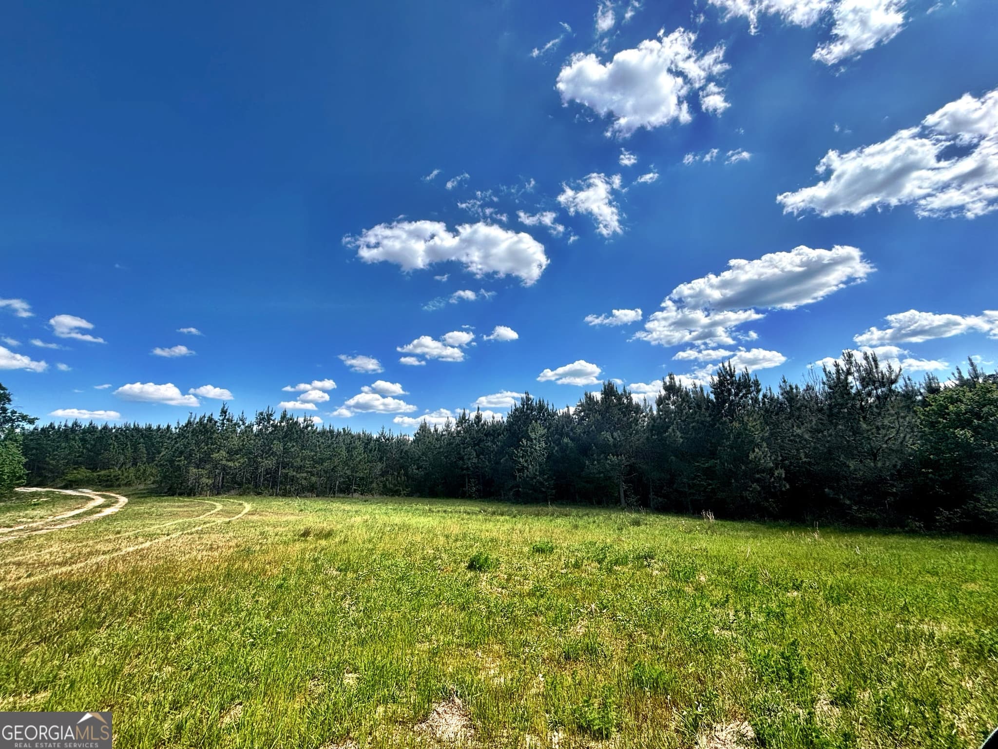 unimproved land for sale at 0 Wilson Way, Musella, GA 31066 — photo 2