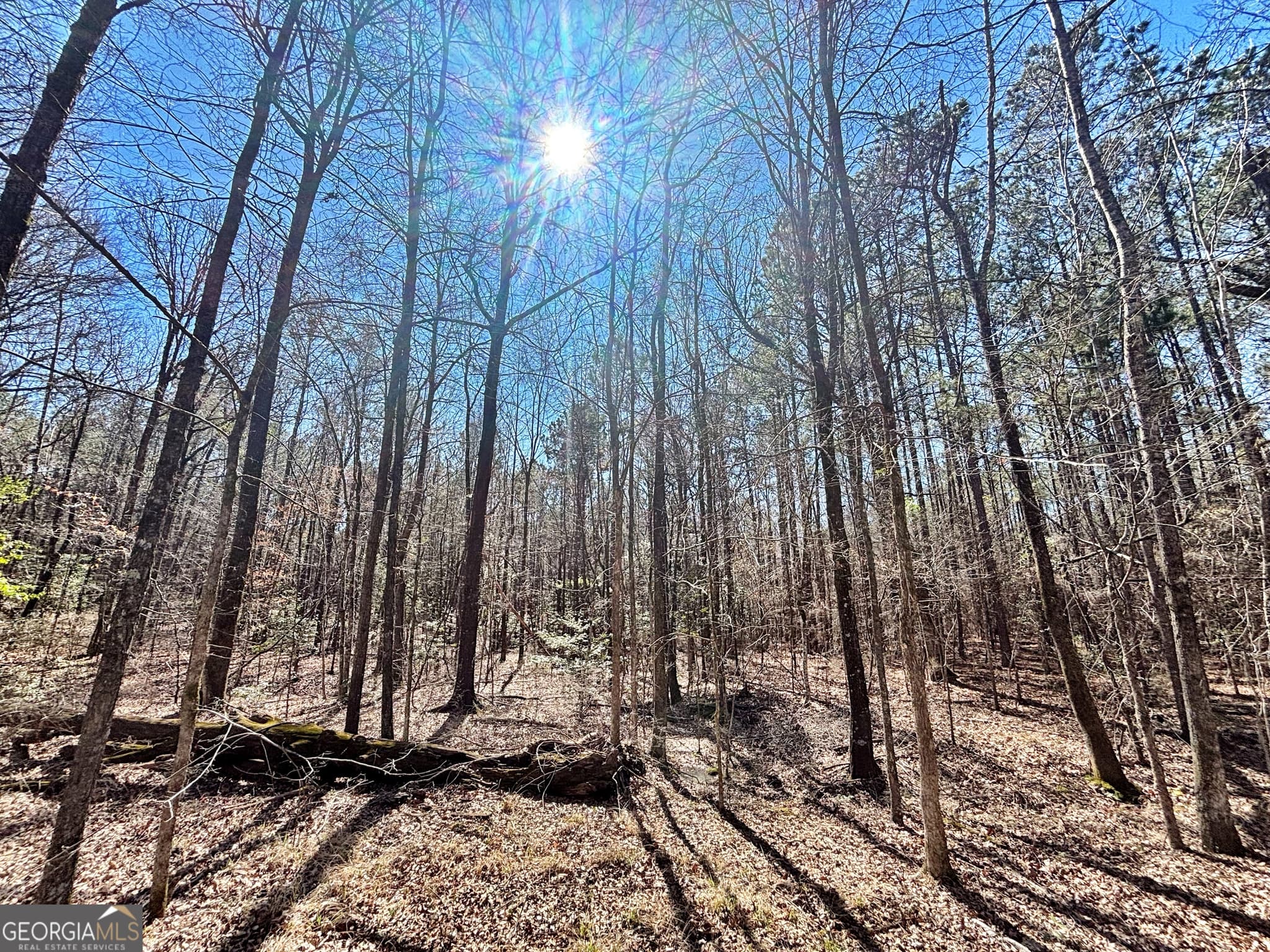 unimproved land for sale at 0 Wilson Way, Musella, GA 31066 — photo 6