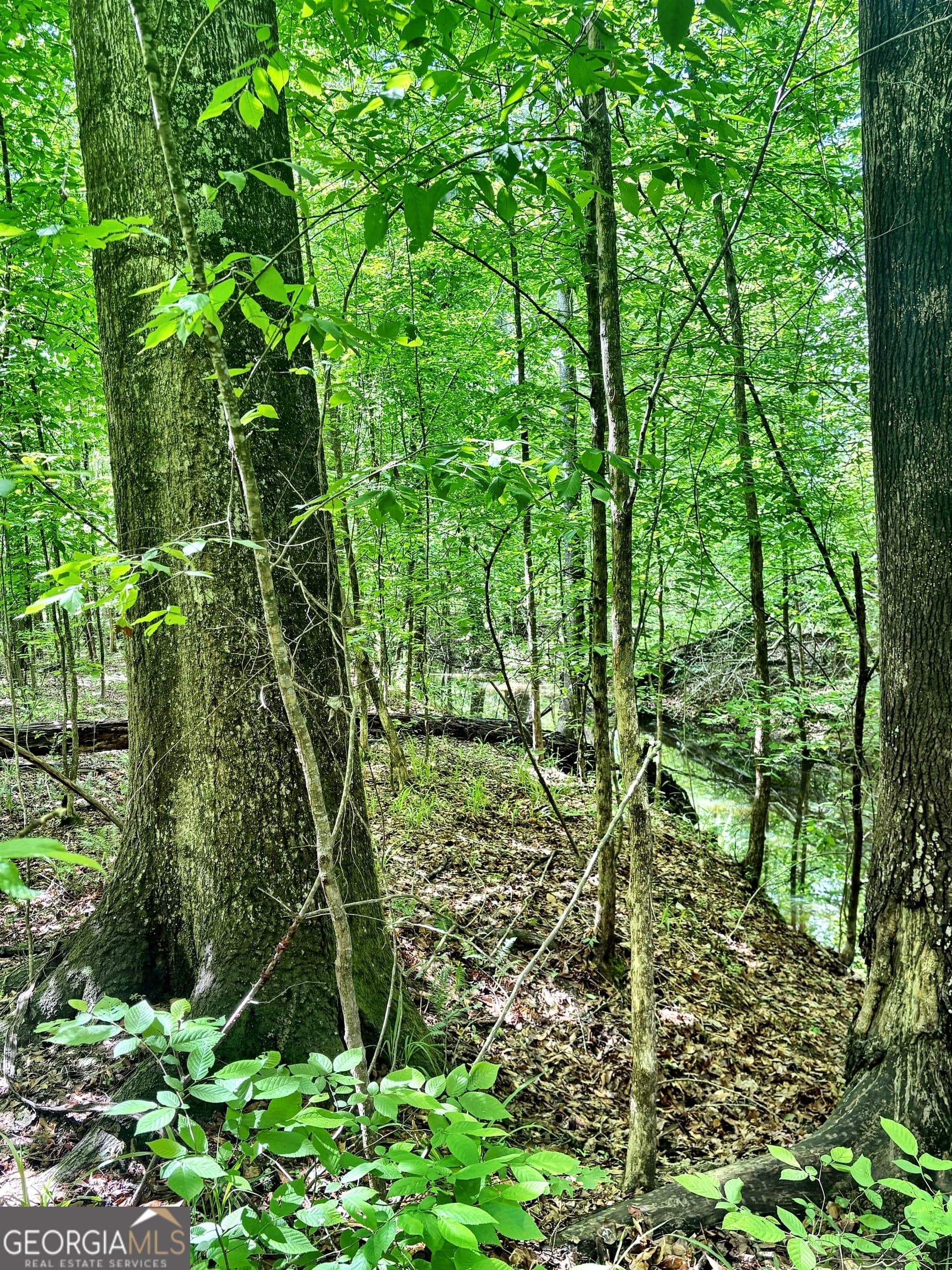 unimproved land for sale at 0 Wilson Way, Musella, GA 31066 — photo 7