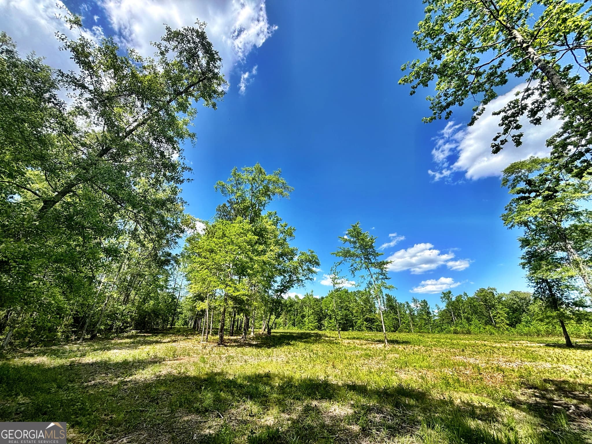 unimproved land for sale at 0 Wilson Way, Musella, GA 31066 — photo 3