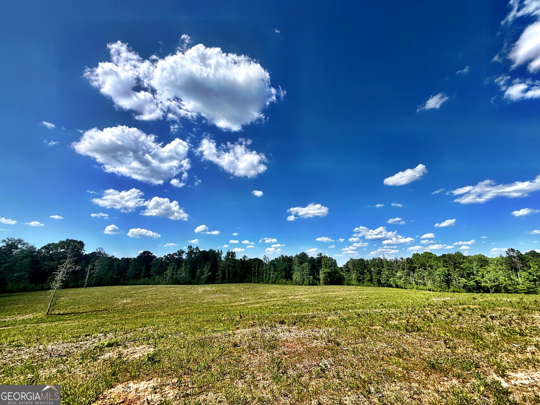 unimproved land for sale at 0 Wilson Way, Musella, GA 31066