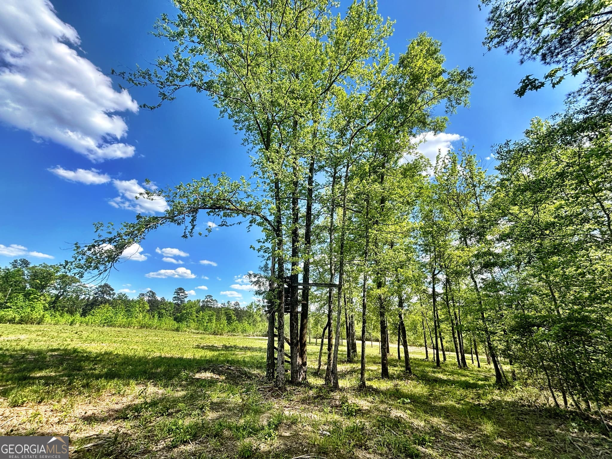 unimproved land for sale at 0 Wilson Way, Musella, GA 31066 — photo 5