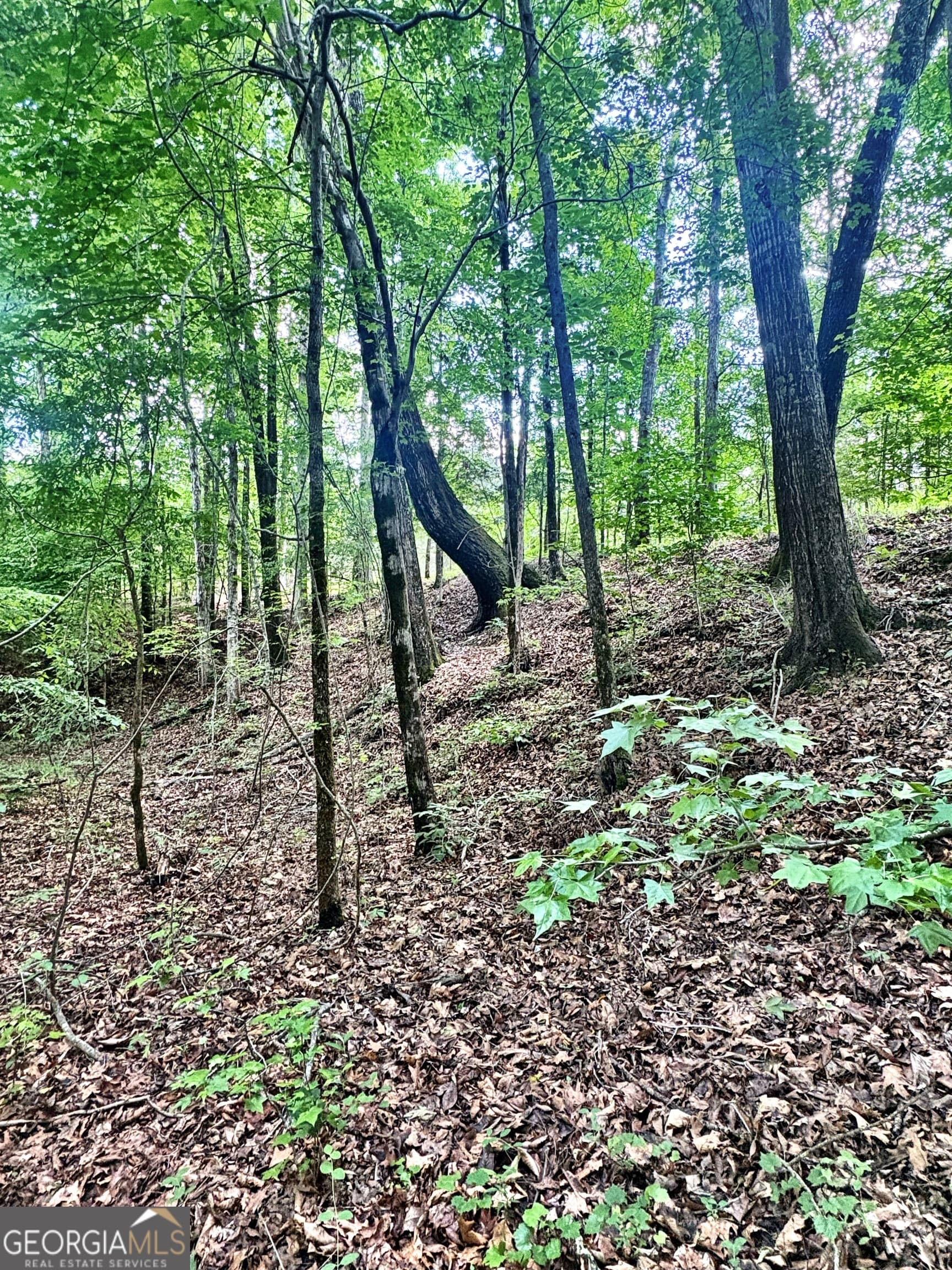unimproved land for sale at 0 Wilson Way, Musella, GA 31066 — photo 9