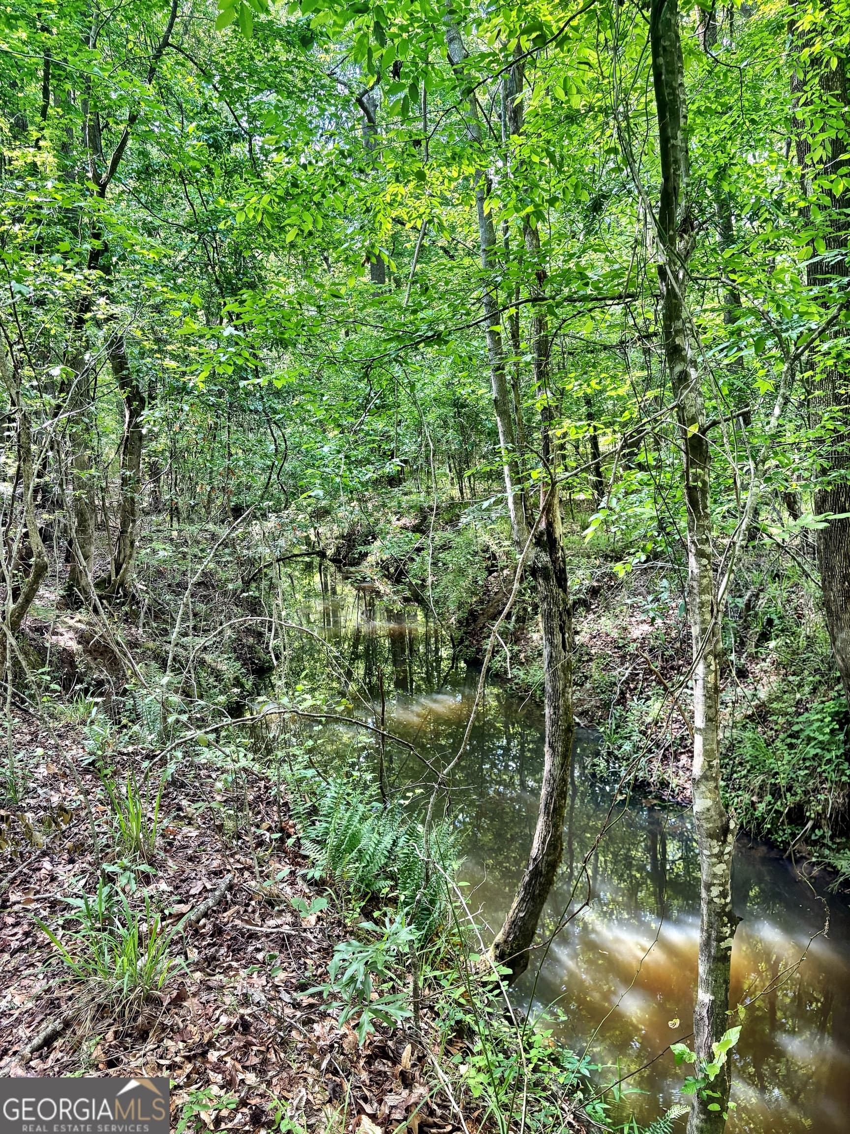 unimproved land for sale at 0 Wilson Way, Musella, GA 31066 — photo 10