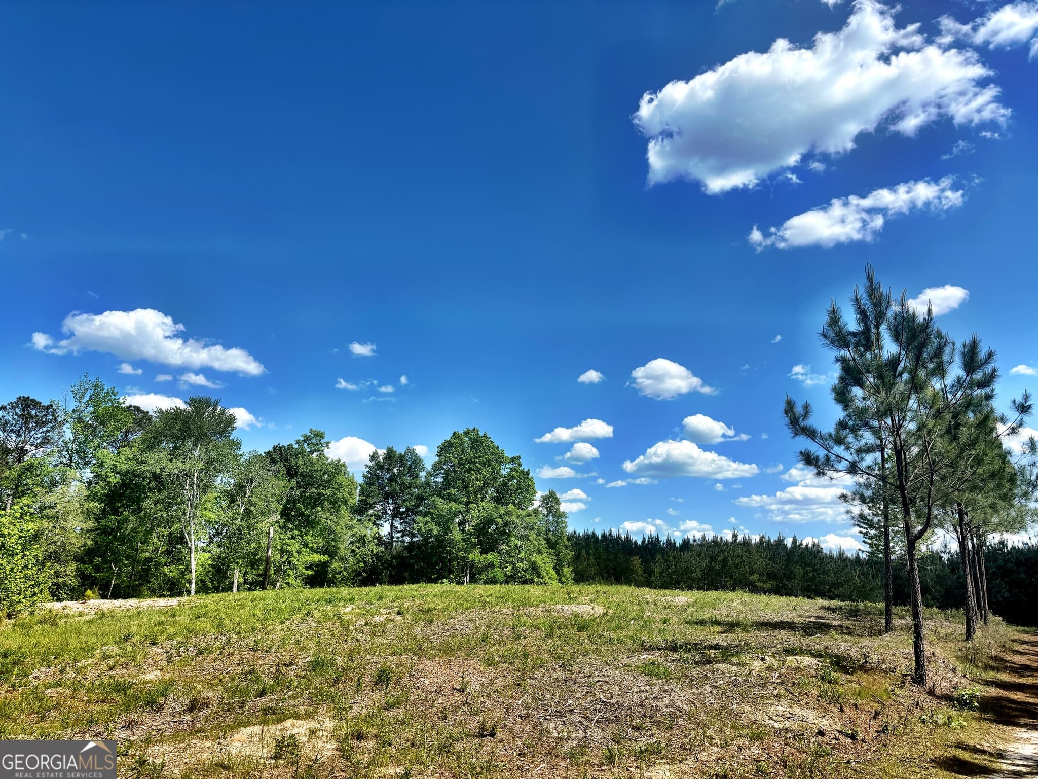 unimproved land for sale at 0 Wilson Way, Musella, GA 31066 — photo 4