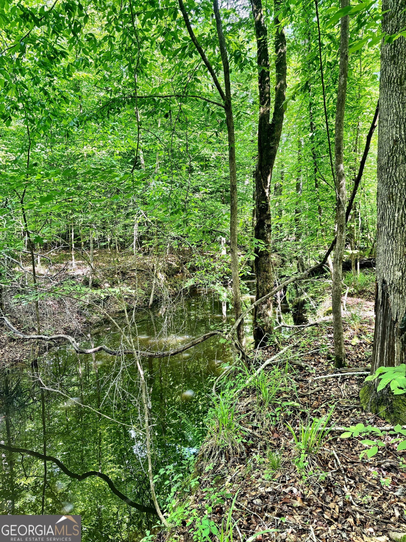 unimproved land for sale at 0 Wilson Way, Musella, GA 31066 — photo 8