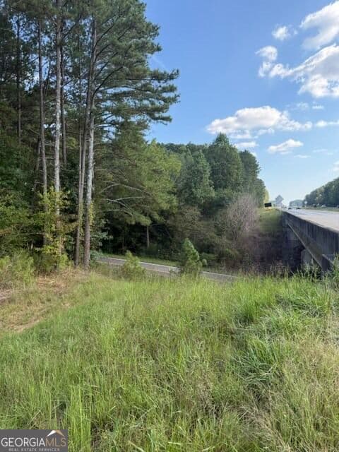 unimproved land for sale at 0 Fairview Road, Ball Ground, GA 30107 — photo 6