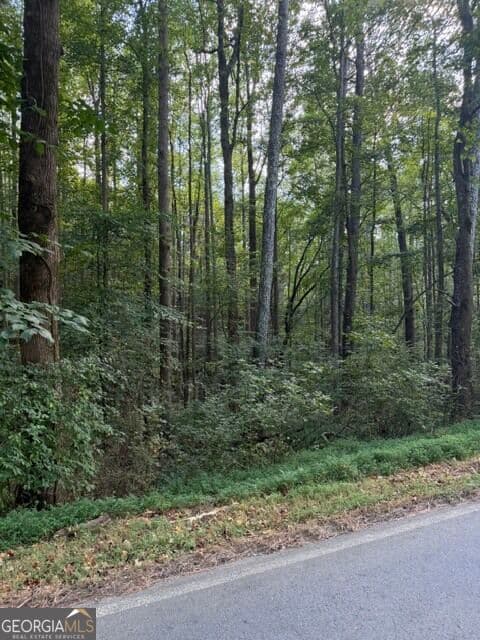 unimproved land for sale at 0 Fairview Road, Ball Ground, GA 30107 — photo 7