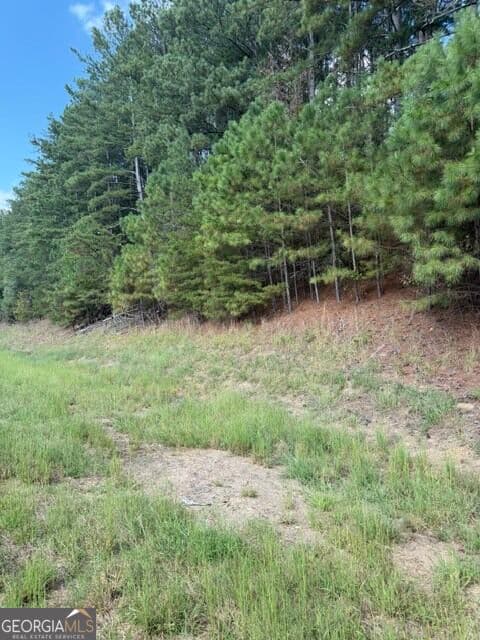 unimproved land for sale at 0 Fairview Road, Ball Ground, GA 30107 — photo 3