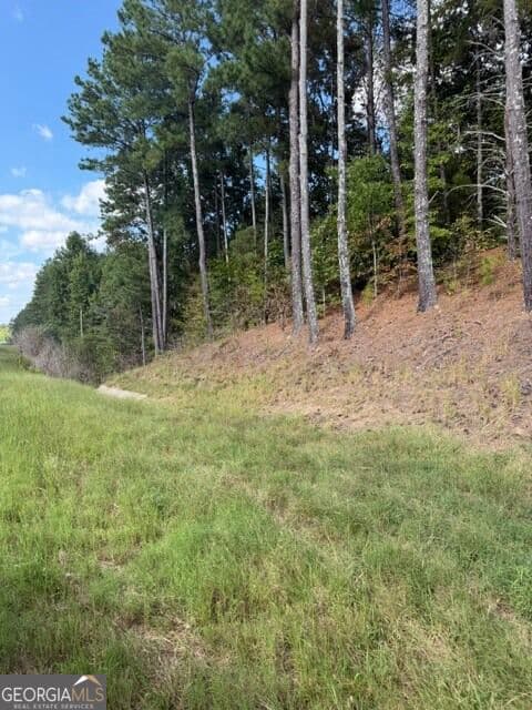 unimproved land for sale at 0 Fairview Road, Ball Ground, GA 30107 — photo 5