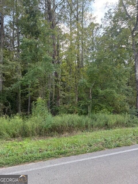 unimproved land for sale at 0 Fairview Road, Ball Ground, GA 30107 — photo 9