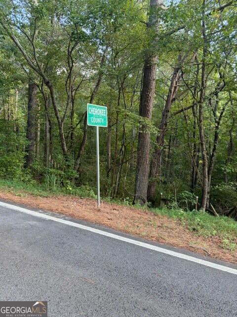 unimproved land for sale at 0 Fairview Road, Ball Ground, GA 30107 — photo 10