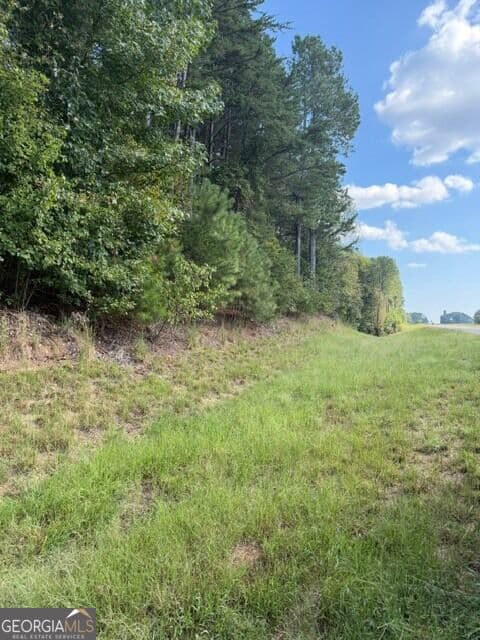 unimproved land for sale at 0 Fairview Road, Ball Ground, GA 30107 — photo 4