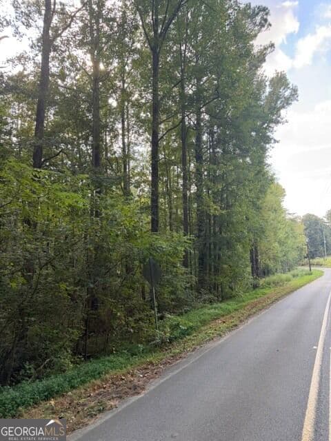 unimproved land for sale at 0 Fairview Road, Ball Ground, GA 30107 — photo 8