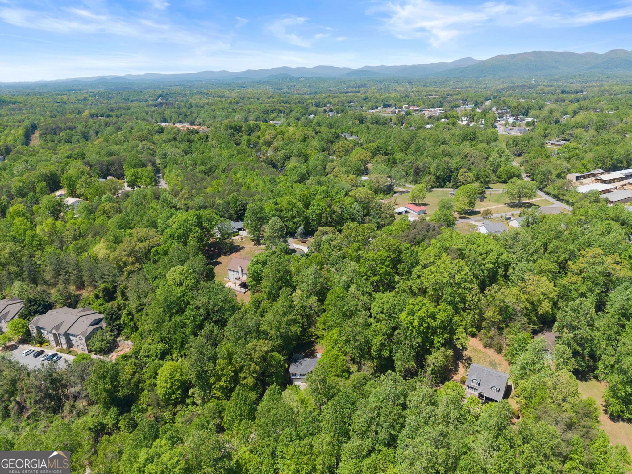 3 bedroom, 3 bathroom, 2,168 sq ft single family residence for sale at 162 Greenview Court, Cleveland, GA 30528 — photo 7