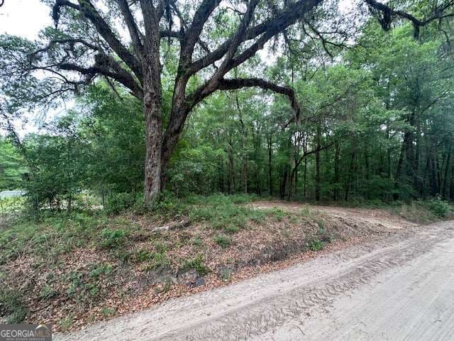 unimproved land for sale at 0 Old Louisville Road, Guyton, GA 31312 — photo 7