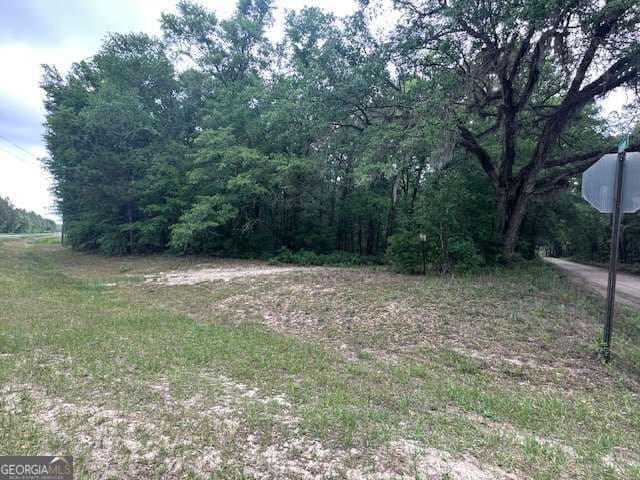 unimproved land for sale at 0 Old Louisville Road, Guyton, GA 31312 — photo 5