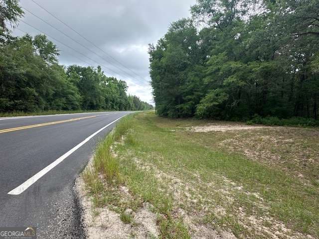 unimproved land for sale at 0 Old Louisville Road, Guyton, GA 31312 — photo 4