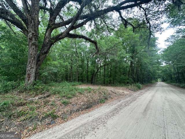 unimproved land for sale at 0 Old Louisville Road, Guyton, GA 31312 — photo 8