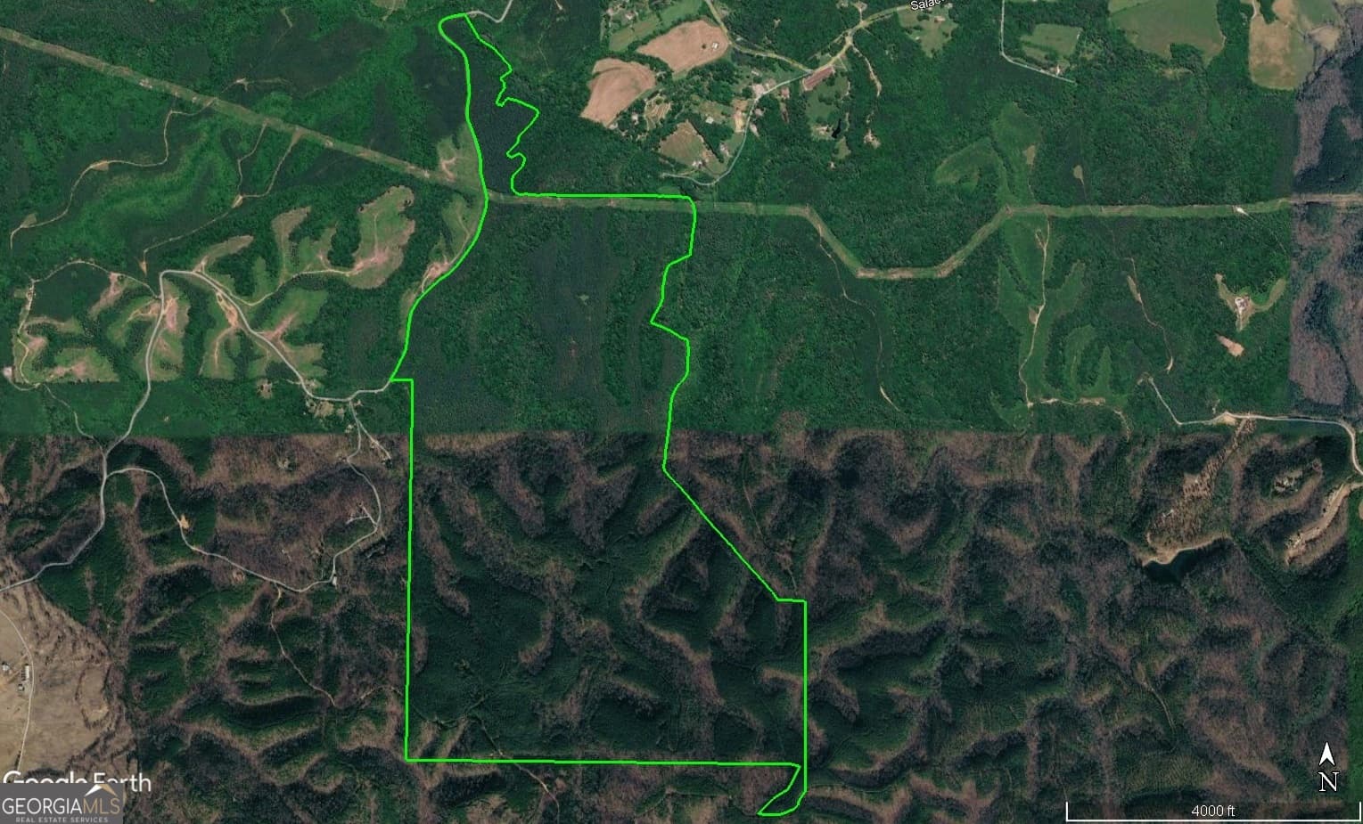 unimproved land for sale at 0 Johnson Mountain Road 7402, Rydal, GA 30171 — photo 2