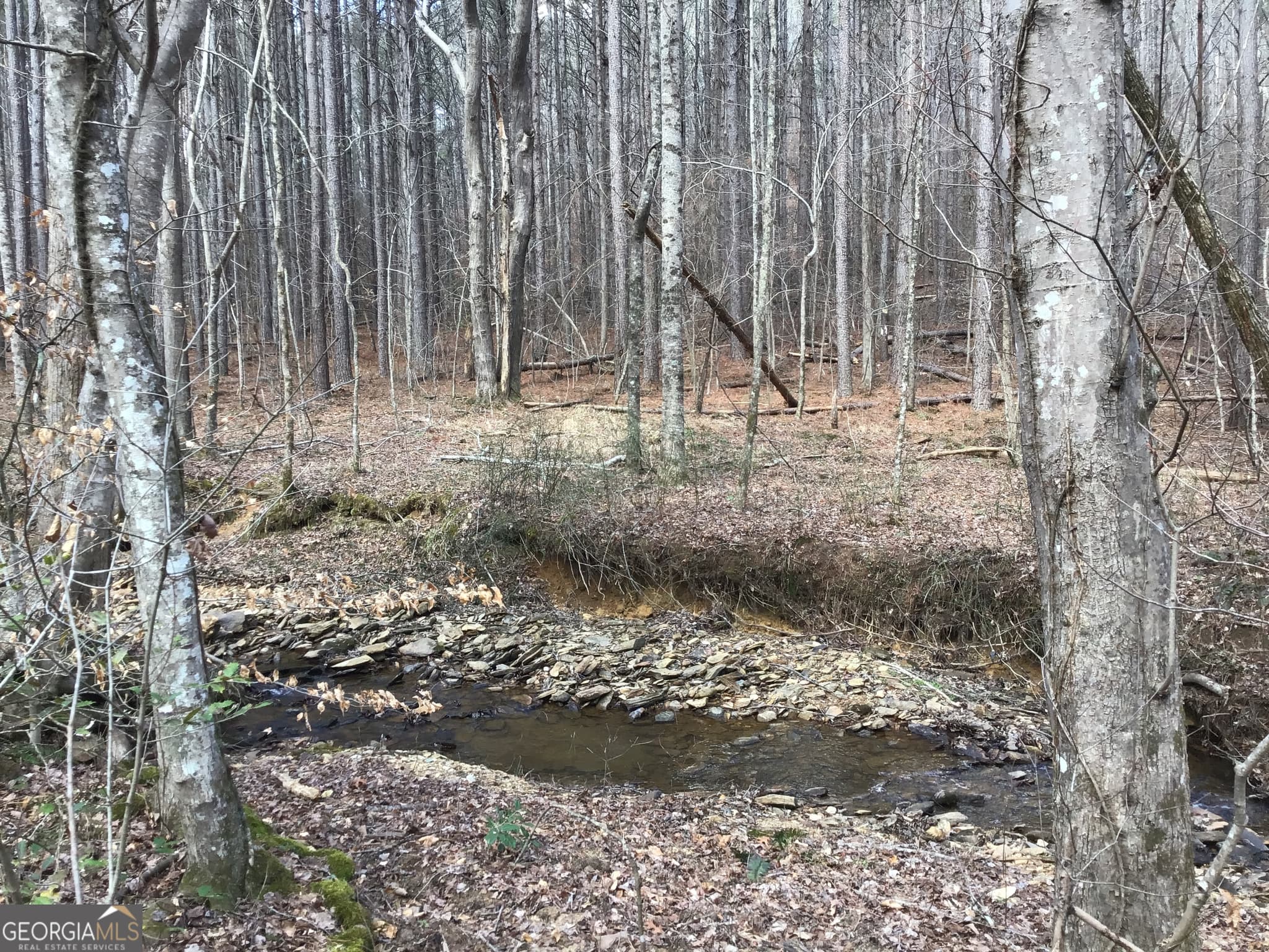 unimproved land for sale at 0 Johnson Mountain Road 7402, Rydal, GA 30171 — photo 6
