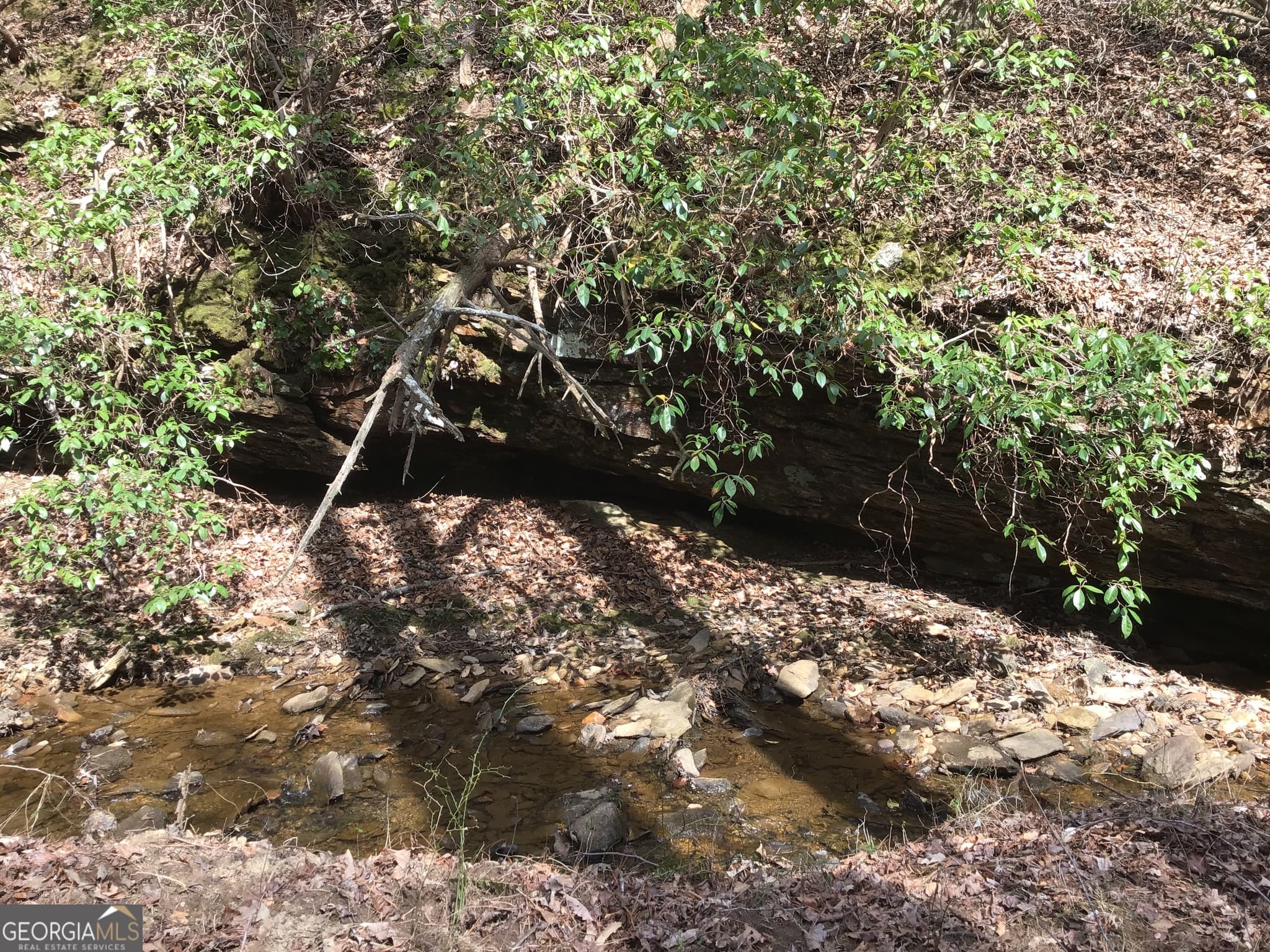 unimproved land for sale at 0 Johnson Mountain Road 7402, Rydal, GA 30171 — photo 7