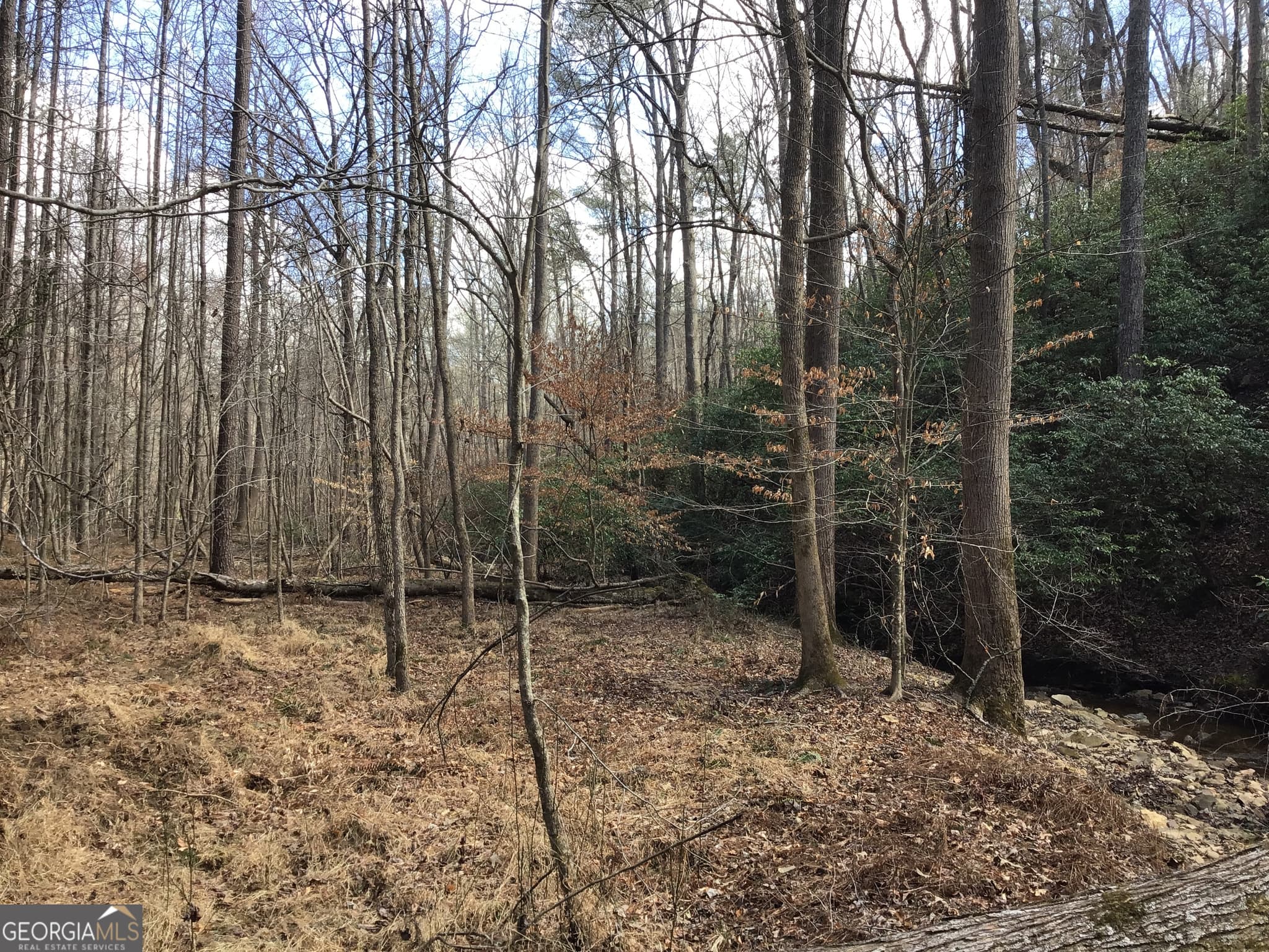 unimproved land for sale at 0 Johnson Mountain Road 7402, Rydal, GA 30171 — photo 5