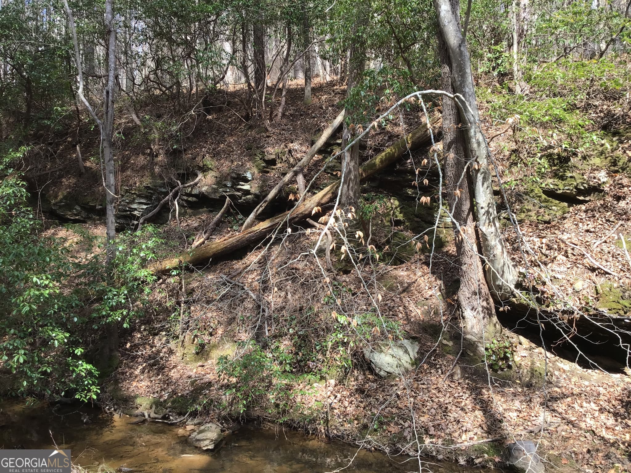 unimproved land for sale at 0 Johnson Mountain Road 7402, Rydal, GA 30171 — photo 9