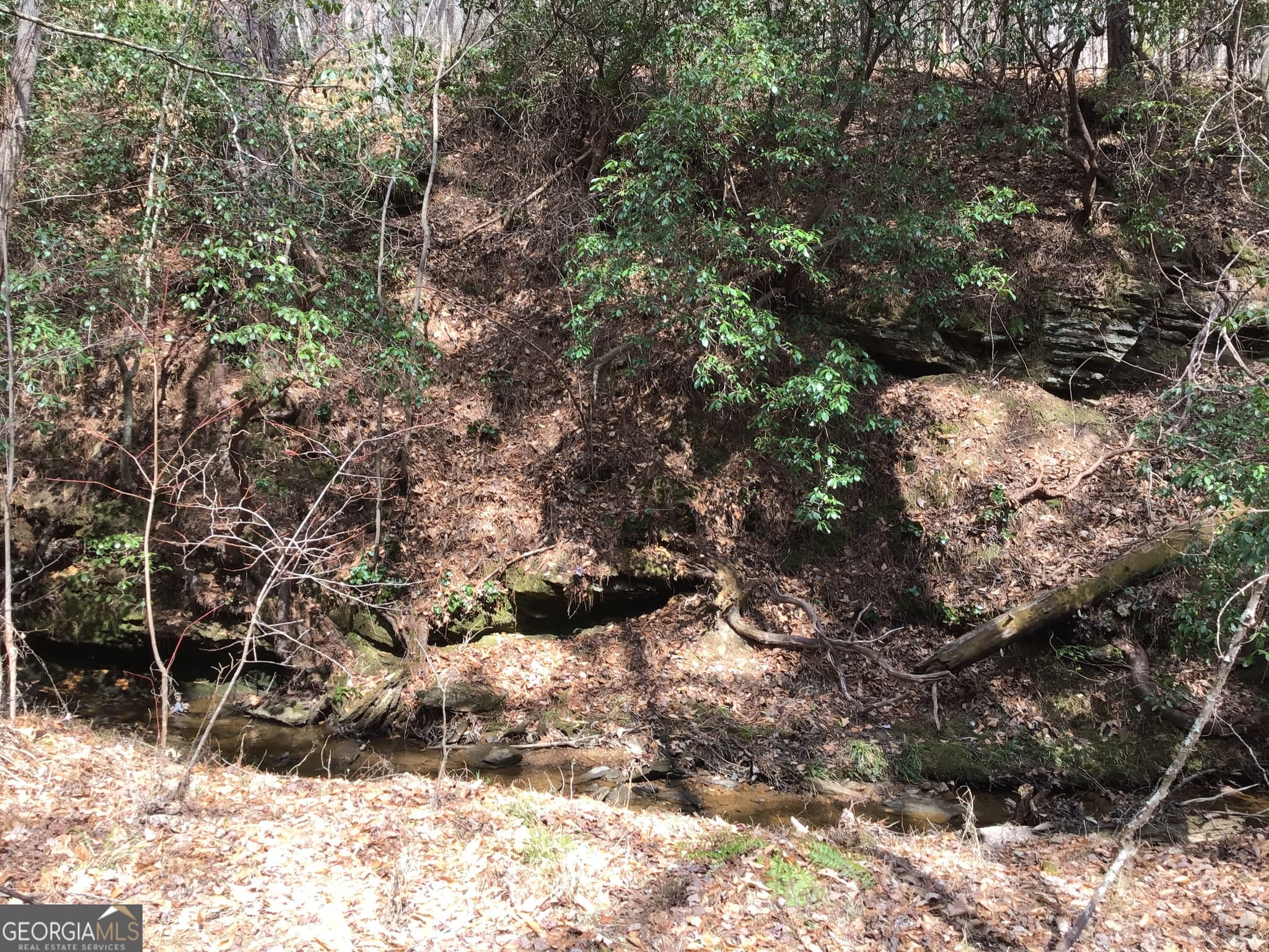 unimproved land for sale at 0 Johnson Mountain Road 7402, Rydal, GA 30171 — photo 10