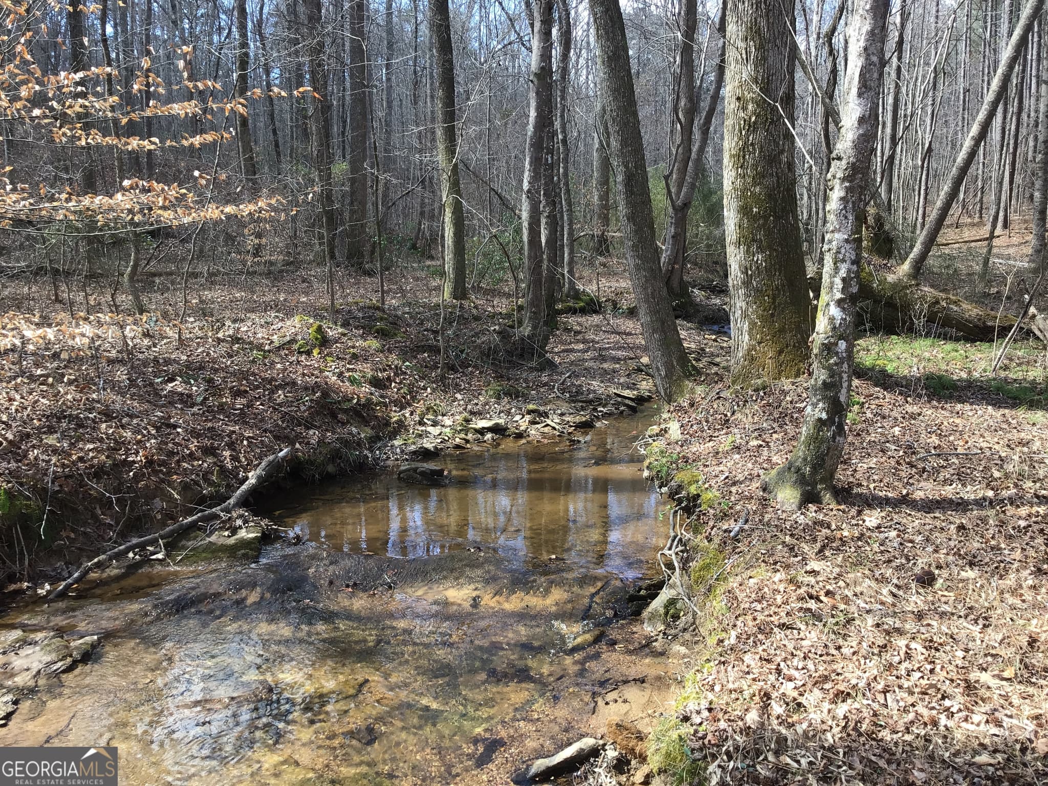 unimproved land for sale at 0 Johnson Mountain Road 7402, Rydal, GA 30171 — photo 4