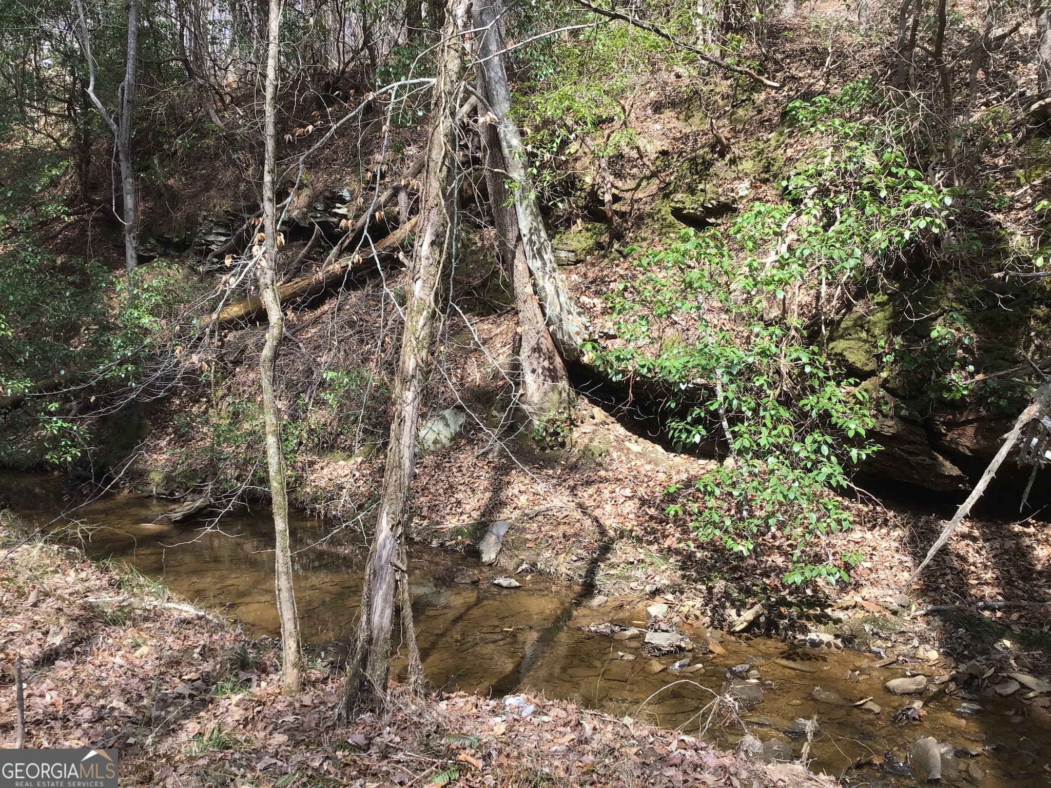unimproved land for sale at 0 Johnson Mountain Road 7402, Rydal, GA 30171 — photo 8
