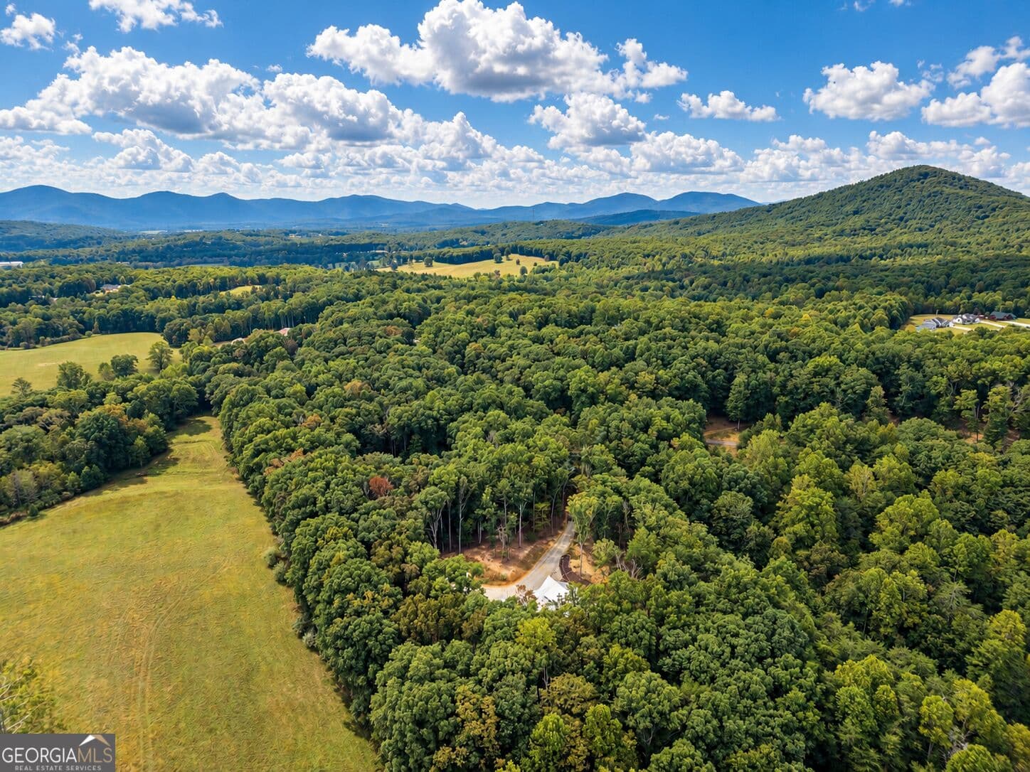 4 bedroom, 4.5 bathroom, 3,857 sq ft single family residence for sale at 392 Mustang Trail, Blairsville, GA 30512 — photo 3