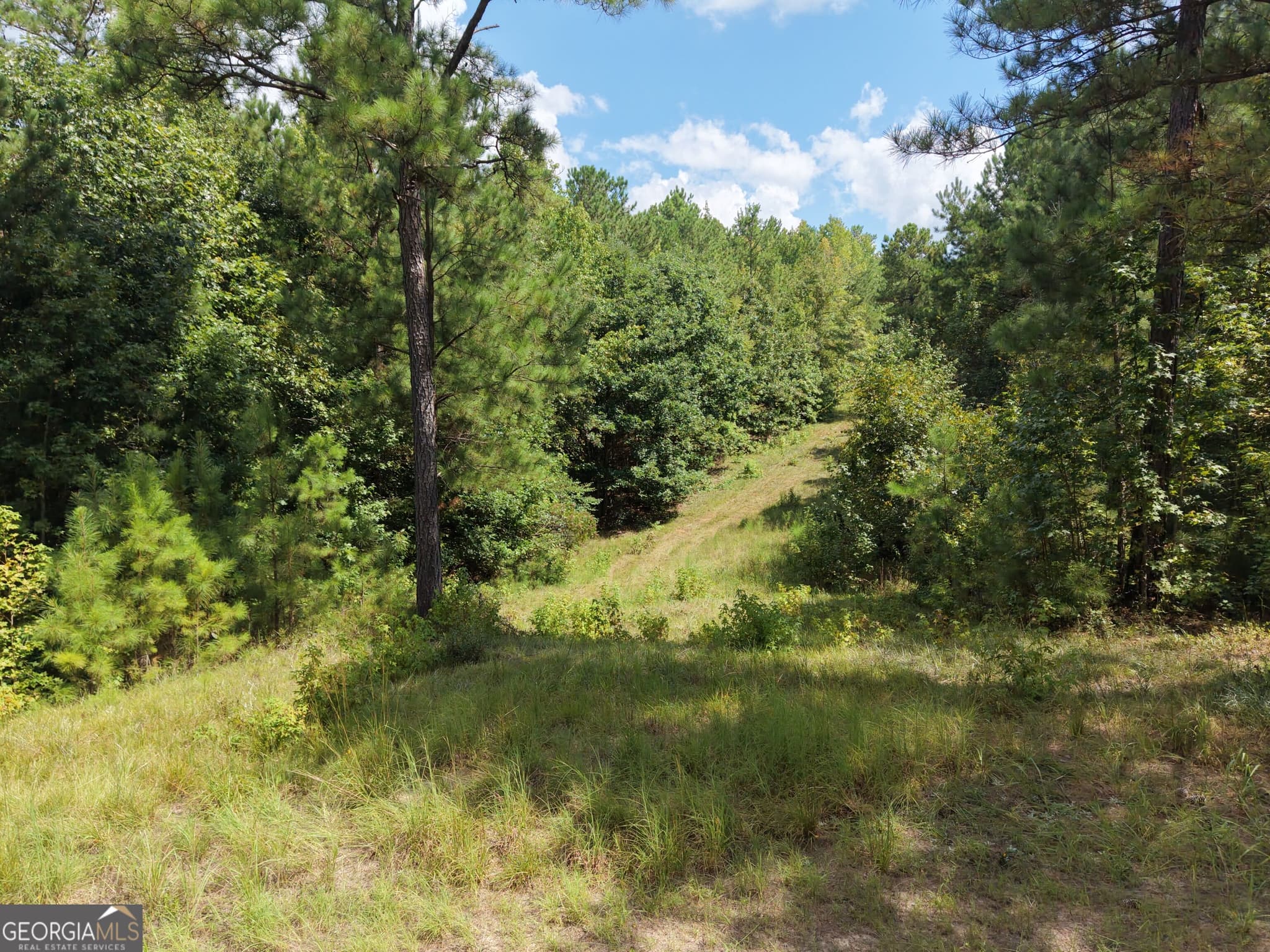 unimproved land for sale at 490 Sparta Highway, Milledgeville, GA 31061 — photo 2