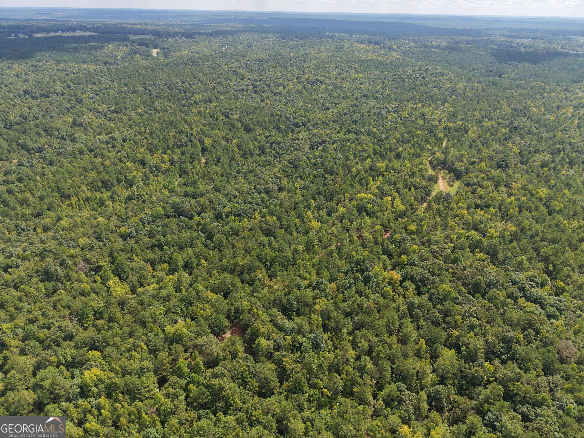 unimproved land for sale at 490 Sparta Highway, Milledgeville, GA 31061 — photo 6