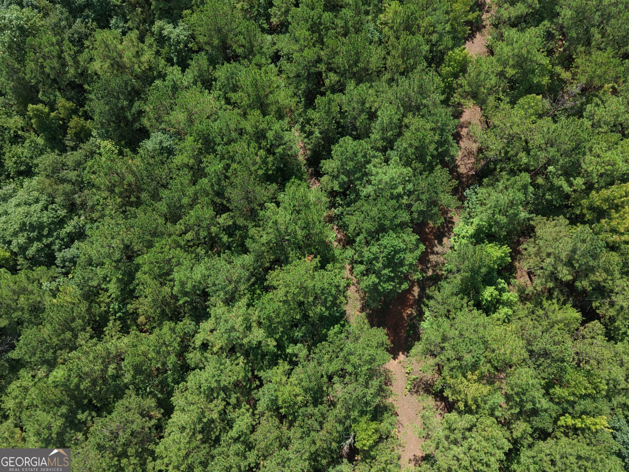 unimproved land for sale at 490 Sparta Highway, Milledgeville, GA 31061 — photo 5