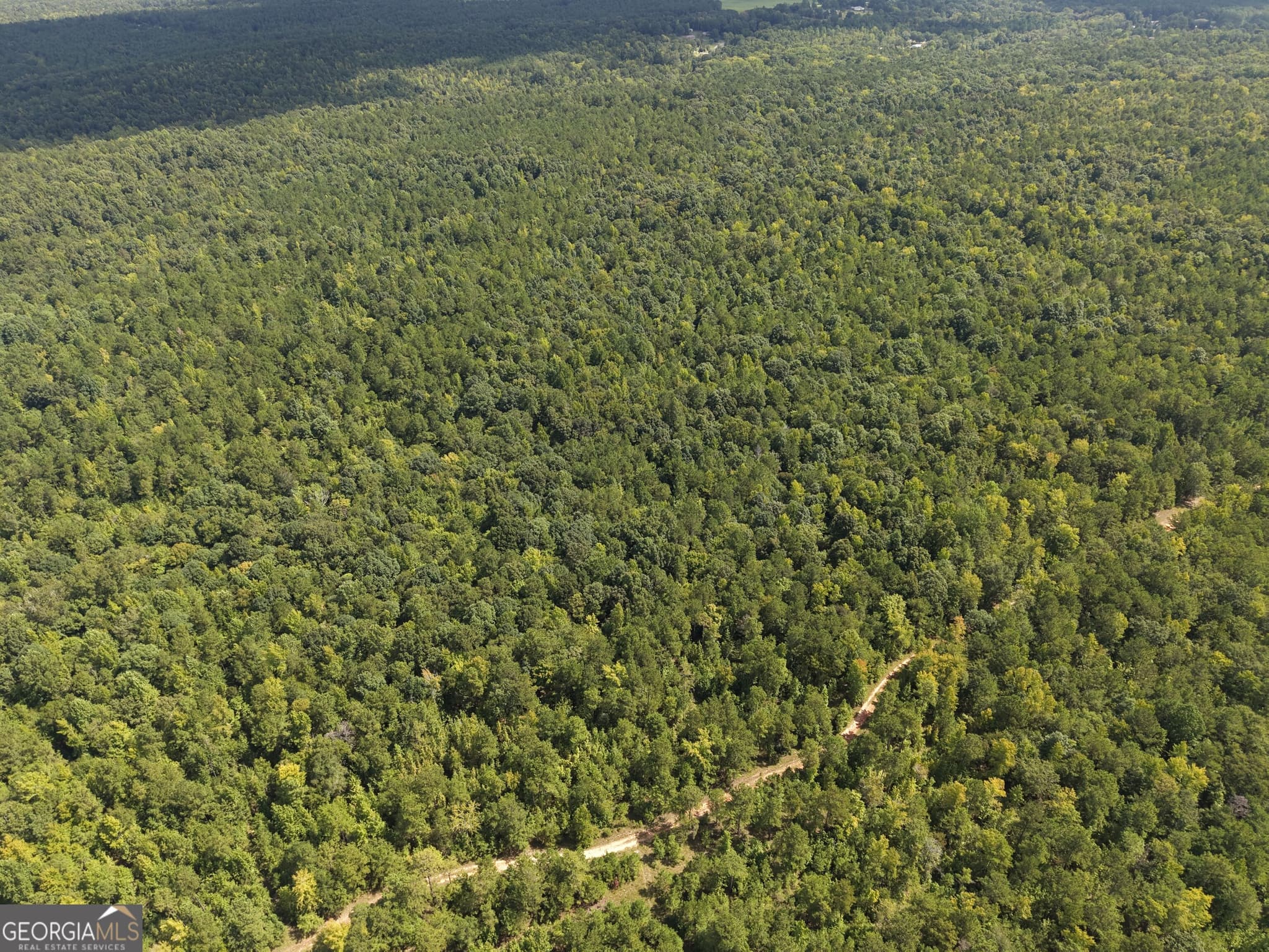 unimproved land for sale at 490 Sparta Highway, Milledgeville, GA 31061 — photo 9